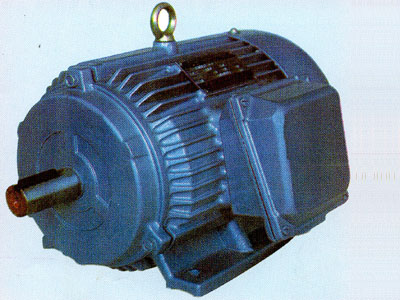 YH高轉差率電機